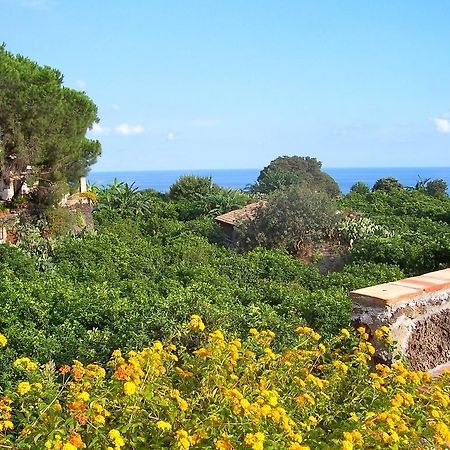 Il Limoneto Acireale Villa Eksteriør bilde