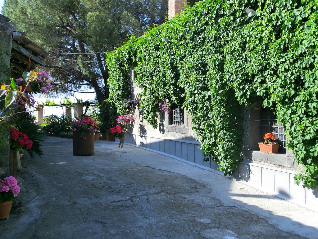 Il Limoneto Acireale Villa Eksteriør bilde